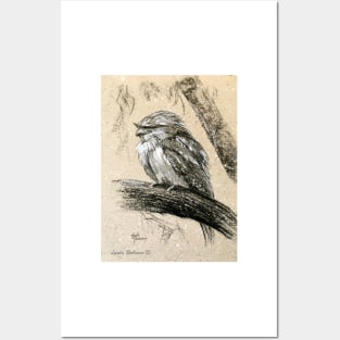 'Tawny Frogmouth' Posters and Art